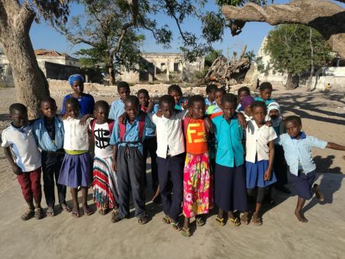 2019 Distribuição de manuais